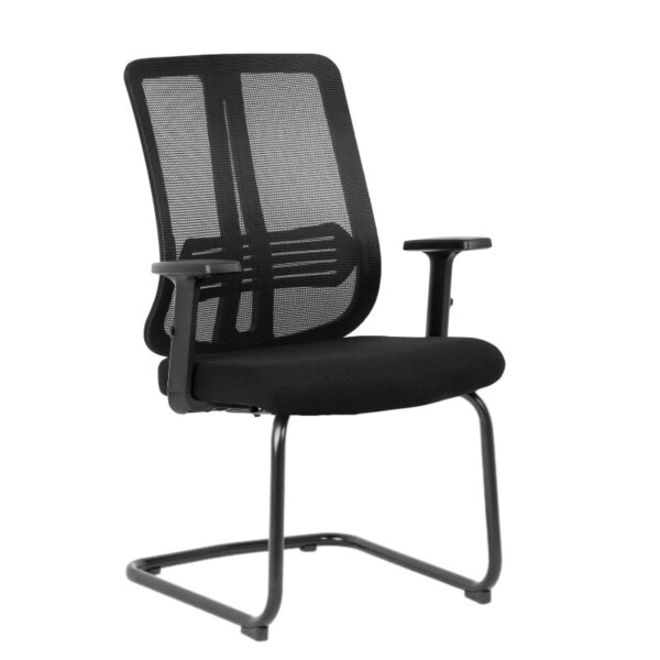 Lenny Visitors Chair