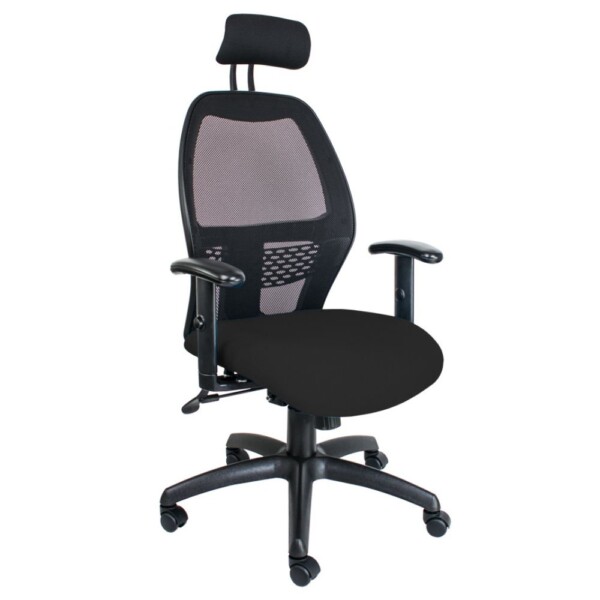 Xenon High Back