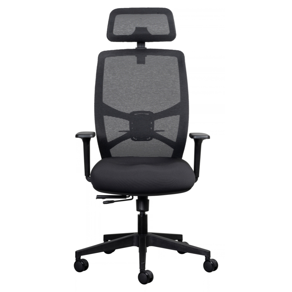 Lumo Ergonomic Office Chair