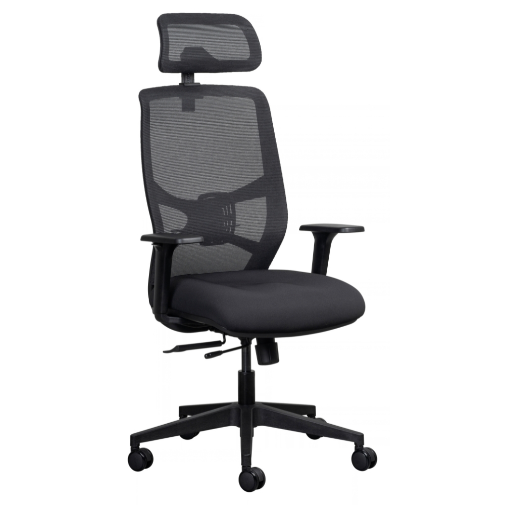 Lumo Ergonomic Office Chair